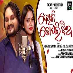 Dekhini To Pari Jhia